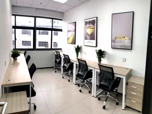 广东大型干洗机供应商